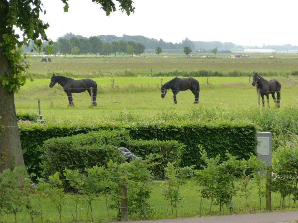 Hotel Brasserie Oud Maren Exterior foto